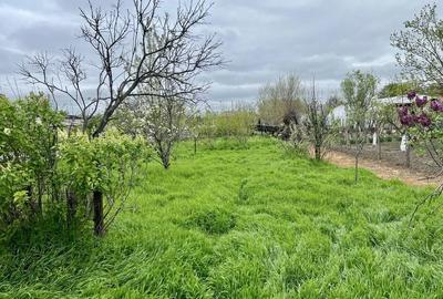 Spațiu comercial, în Curcani - 7