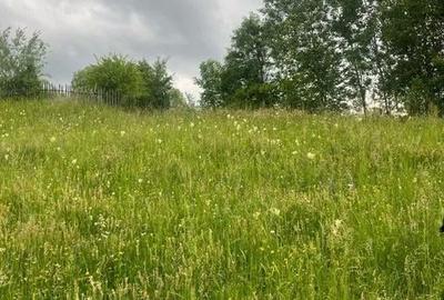 TEREN DE VANZARE VALEA DOFTANEI - 2