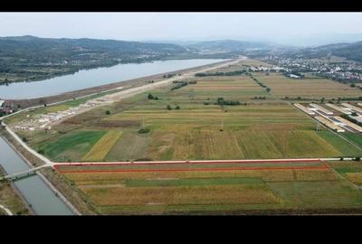 Teren de 7000 mp, în Băiculești - 7