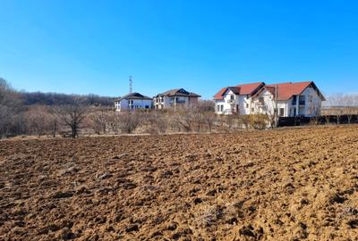 Teren intravilan 13175mp utilitati Ciolpani Strada Alunisului - Padurea Snagov - 9