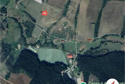 Teren de 690 mp, în Sălciua Nouă