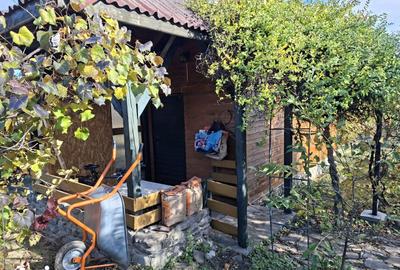Casă cu 5 camere cu Teren 7017 Mp în Drajna - 18