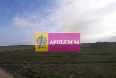 Parcela langa padure in Ilfov - 7