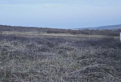 Spațiu comercial, în Paleu - 8