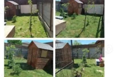 Casă cu 3 camere cu Teren 200 Mp în Berceni - 4