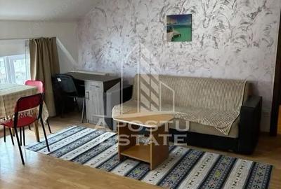 Apartament cu 2 camere semidecomandat, mobilat în Șagului