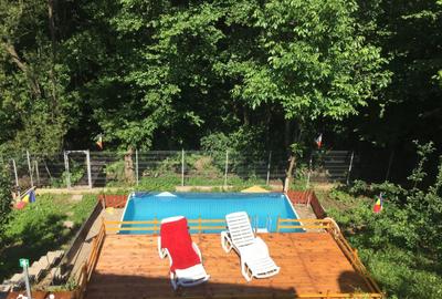 Casă cu 6 camere cu Teren 1629 Mp în Plopu - 3