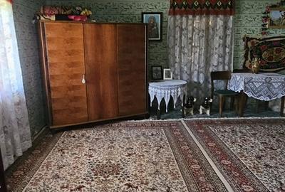 Neagra Sarului, Suceava - 7