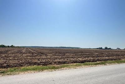 Teren de vanzare Intravilan Caciulati Autostrada A3 Drumul Teilor COMISION 0% - 6