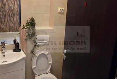 Apartament cu 2 camere, mobilat în Frumoasa - 11