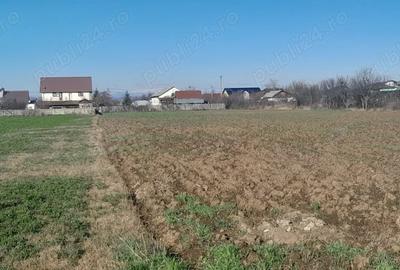Teren de 7000 mp, în Brătășanca - 8