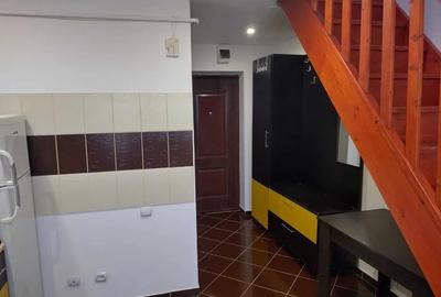 Garsonieră, mobilată în Podu Roș - 4