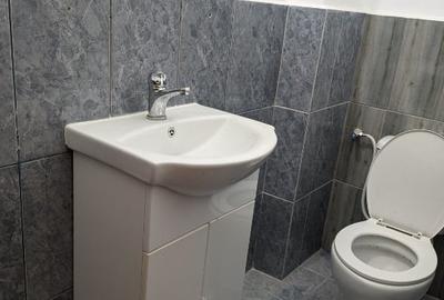 Proprietar, casa individuala, Cismigiu, de inchiriat - activități comerciale. - 4