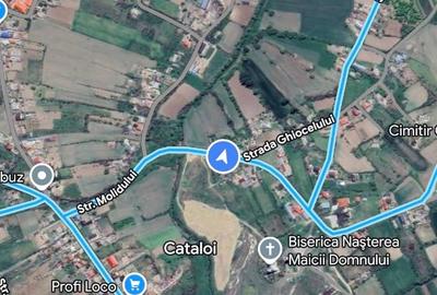Teren intravilan de 500 mp, în Cataloi - 2