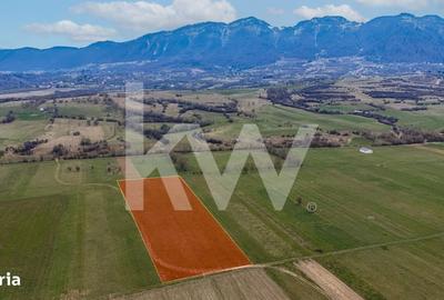 Spațiu comercial, în Plaiul Foii - 7