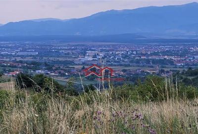 Oportunitate teren zona agrement sau parc eolian,Sibiu - 3
