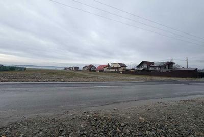 Spațiu comercial, în Central