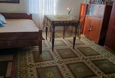 Casă cu 3 camere în Dâmbroca - 9