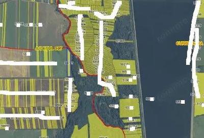 Teren extravilan 5000 mp Loc Plesoiu, Jud Olt - 3