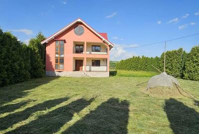 Casă cu 5 camere cu Teren 3600 Mp în Bâlca - 1