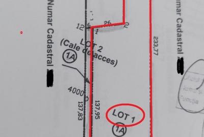 Teren agricol extravilan de 8877 mp, în Exterior Nord - 5