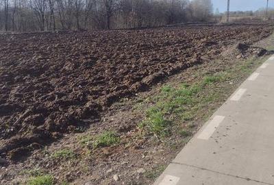 Teren de 6300 mp, în Central - 2