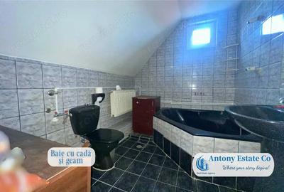 Casa de inchiriat, Cazare muncitori, Spatiu comercial, Rogerius, Oradea - 13