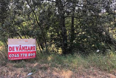 Teren Intravilan 4500 mp - zona Strada Digului - Vivo Mall/Petrom - 6