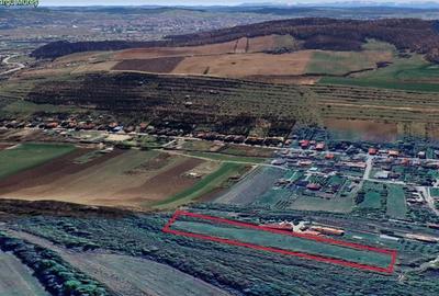 Spațiu comercial, în Bărdești - 2