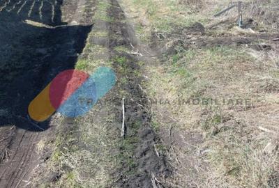 Teren intravilan 500mp - 5