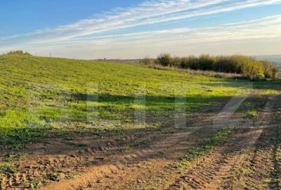 Teren de 830 mp, în Gării - 3