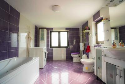 Casă cu 4 camere în Borșa - 3