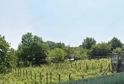 Casa si teren cota parte 3/16, Vladiceni, ID: R2764937 - 11