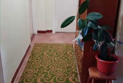 Casă cu 4 camere în Acâș - 3