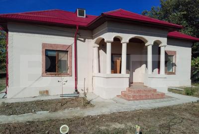 Casa renovata in Piscu Sadovei, 70 mp utili, 2200 mp curte - 3