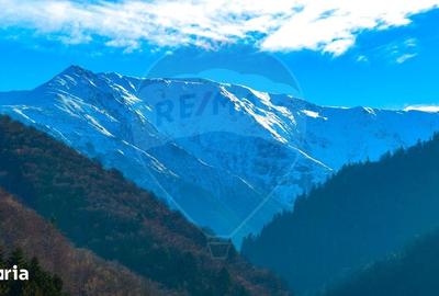 Teren de 17939 mp, în Mănești - 12
