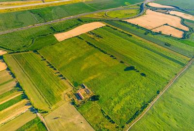 50 ha teren compact în Bujac - 7