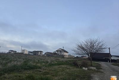 Teren de vanzare in Tuzla zona Castelul de Apa - 10