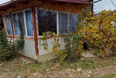Vand casa su gradina , Baiceni , Judetul Iasi - 5