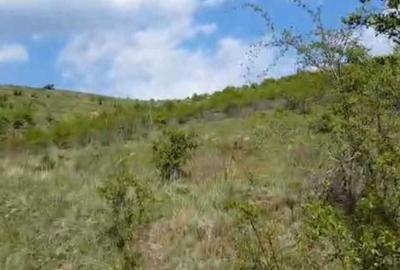 Spațiu comercial, în Ceptura