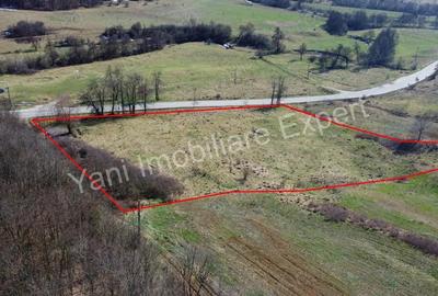 Teren 10.000 mp de vanzare in comuna Valea Ia?ului, jude? Arge?. - 1