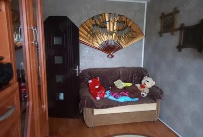 Apartament Moldova-Noua - 2