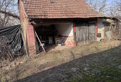 Casă cu 4 camere în Teremia Mare - 2