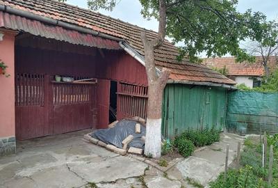 Casa de Vanzare in Bod - Ideala pentru Familie! - 12