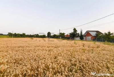 Teren de 1000 mp, în Lăzăreni - 7