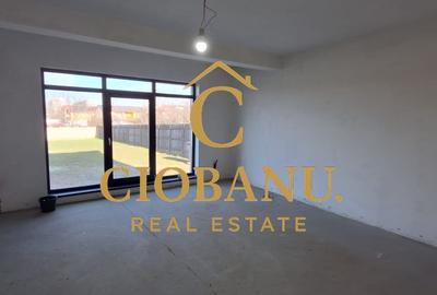 Casa de vanzare zona Damila-Capsunarie - 7