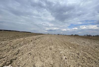 Teren de 2300 mp, în Central - 2