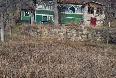 Vand casa batraneasca locuibila cu iesire la strada principala aflata in Buzau, Valea Fantanei! - 4