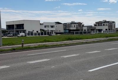 Teren Construcții intravilan de 21600 mp, în Nord - 3