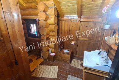 Casa de vacan?a de vanzare pe Valea Valsanului, in comuna Bradule?, sat Bradetu, jude? Arge?. - 14